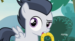 Size: 1181x653 | Tagged: safe, screencap, character:rumble, species:pegasus, species:pony, episode:marks and recreation, g4, my little pony: friendship is magic, colt, discovery family logo, horseshoes, looking back, male, mouth hold, solo