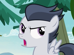 Size: 871x645 | Tagged: safe, screencap, character:rumble, species:pegasus, species:pony, episode:marks and recreation, g4, my little pony: friendship is magic, angry, colt, cropped, looking back, male, solo