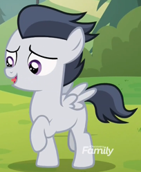 Size: 498x610 | Tagged: safe, screencap, character:rumble, species:pegasus, species:pony, episode:marks and recreation, g4, my little pony: friendship is magic, colt, cropped, discovery family logo, male, solo
