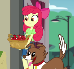 Size: 1076x999 | Tagged: safe, screencap, character:apple bloom, character:winona, species:dog, equestria girls:holidays unwrapped, g4, my little pony:equestria girls, adorabloom, apple, apple basket, apple bloom's bow, basket, bow, collar, cropped, cute, dog collar, female, food, hair bow, street lamp, the cider louse fools, tongue out