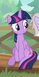 Size: 344x684 | Tagged: safe, screencap, character:twilight sparkle, character:twilight sparkle (alicorn), species:alicorn, species:pony, episode:the point of no return, g4, my little pony: friendship is magic, cropped, cute, fence, offscreen character, sitting, solo focus, tree, twiabetes