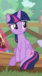 Size: 314x563 | Tagged: safe, screencap, character:twilight sparkle, character:twilight sparkle (alicorn), species:alicorn, species:pony, episode:the point of no return, g4, my little pony: friendship is magic, book, cropped, cute, fence, sitting, smiling, solo, tree, twiabetes
