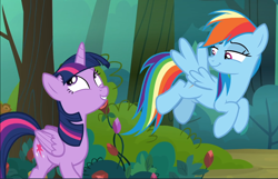 Size: 1460x940 | Tagged: safe, screencap, character:rainbow dash, character:twilight sparkle, character:twilight sparkle (alicorn), species:alicorn, species:pegasus, species:pony, episode:the mean 6, g4, my little pony: friendship is magic, cropped, duo, everfree forest, excited, female, flying, lidded eyes, mare, smiling, smirk, spread wings, wings