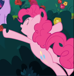 Size: 488x504 | Tagged: safe, screencap, character:pinkie pie, species:earth pony, species:pony, episode:the mean 6, g4, my little pony: friendship is magic, balloonbutt, bush, butt, cropped, eyes closed, female, flower, lying down, mare, offscreen character, open mouth, plot, rose, smiling, solo focus