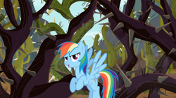 Size: 2500x1404 | Tagged: safe, screencap, character:rainbow dash, species:pegasus, species:pony, episode:may the best pet win, g4, my little pony: friendship is magic, cactus, female, ghastly gorge, mare, solo, thorns