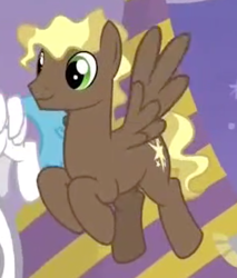 Size: 456x536 | Tagged: safe, screencap, character:compass star, species:pegasus, species:pony, episode:the last problem, g4, my little pony: friendship is magic, background pony, cropped, flying, male, solo focus, stallion