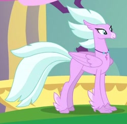 Size: 326x318 | Tagged: safe, screencap, species:classical hippogriff, species:hippogriff, episode:the last problem, g4, my little pony: friendship is magic, background hippogriff, cropped, feathered fetlocks, jewelry, necklace, solo
