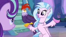 Size: 1920x1080 | Tagged: safe, screencap, character:edith, character:silverstream, character:starlight glimmer, episode:student counsel, cute, diabedith, diastreamies