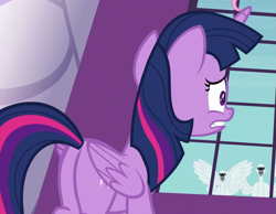 Size: 925x718 | Tagged: safe, screencap, character:twilight sparkle, character:twilight sparkle (alicorn), species:alicorn, species:bird, species:pony, episode:between dark and dawn, g4, my little pony: friendship is magic, butt, cropped, plot, swan