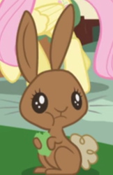 Size: 400x619 | Tagged: safe, screencap, species:rabbit, episode:applebuck season, g4, my little pony: friendship is magic, animal, cropped, cute, eating, herbivore, solo focus