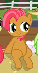Size: 285x545 | Tagged: safe, screencap, character:babs seed, species:pony, episode:apple family reunion, g4, my little pony: friendship is magic, adorababs, apple family member, cropped, cute, hay bale, sitting, solo