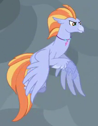 Size: 218x279 | Tagged: safe, screencap, species:classical hippogriff, species:hippogriff, episode:the ending of the end, g4, my little pony: friendship is magic, background hippogriff, cropped, feathered fetlocks, flying, jewelry, male, necklace, solo, unnamed hippogriff