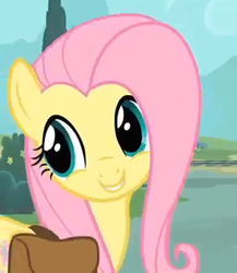Size: 282x325 | Tagged: safe, screencap, character:fluttershy, episode:just for sidekicks, g4, my little pony: friendship is magic, cute, smiling