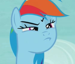 Size: 921x786 | Tagged: safe, screencap, character:rainbow dash, species:pegasus, species:pony, episode:tanks for the memories, g4, my little pony: friendship is magic, cropped, narrowed eyes, rainbow dash is best facemaker, raised eyebrow, solo