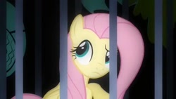Size: 640x360 | Tagged: safe, screencap, character:fluttershy, species:pegasus, species:pony, episode:a bird in the hoof, g4, my little pony: friendship is magic, female, mare, prison, solo
