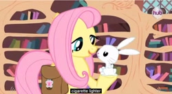 Size: 852x469 | Tagged: safe, screencap, character:angel bunny, character:fluttershy, episode:just for sidekicks, g4, my little pony: friendship is magic, lighter, youtube caption