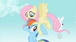 Size: 637x351 | Tagged: safe, screencap, character:angel bunny, character:fluttershy, character:rainbow dash, species:pegasus, species:pony, episode:may the best pet win, g4, my little pony: friendship is magic, carrying, female, flying, mare, sky