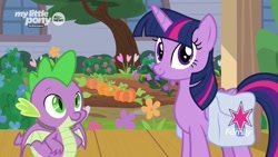 Size: 1920x1080 | Tagged: safe, screencap, character:spike, character:twilight sparkle, character:twilight sparkle (alicorn), species:alicorn, species:dragon, species:pony, episode:the point of no return, g4, my little pony: friendship is magic, flower, pumpkin, saddle bag, winged spike