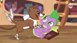 Size: 480x268 | Tagged: safe, screencap, character:spike, character:winona, species:dog, species:dragon, episode:just for sidekicks, g4, my little pony: friendship is magic, book, lip bite, male, out of context