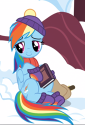 Size: 638x939 | Tagged: safe, screencap, character:rainbow dash, species:pegasus, species:pony, episode:tanks for the memories, g4, my little pony: friendship is magic, book, clothing, cropped, cute, dashabetes, female, lidded eyes, mare, saddle bag, sitting, smiling, solo, winter outfit