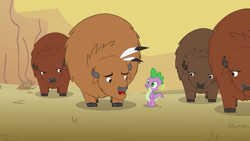 Size: 2880x1620 | Tagged: safe, screencap, character:spike, species:buffalo, species:dragon, episode:over a barrel, g4, my little pony: friendship is magic, cloven hooves, desert, eyes closed, feather, looking at each other, male, open mouth