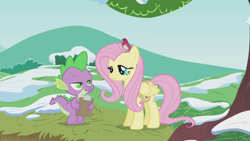 Size: 1920x1080 | Tagged: safe, screencap, character:fluttershy, character:spike, species:bird, species:dragon, species:pegasus, species:pony, episode:winter wrap up, g4, my little pony: friendship is magic, clipboard, female, looking at each other, mare, snow