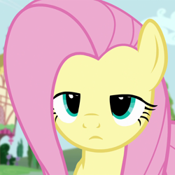 Size: 1080x1080 | Tagged: safe, screencap, character:fluttershy, species:pegasus, species:pony, episode:testing testing 1-2-3, g4, my little pony: friendship is magic, cropped, female, fluttershy is not amused, mare, solo, unamused