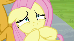 Size: 1920x1080 | Tagged: safe, screencap, character:fluttershy, character:snails, episode:2-4-6 greaaat, hooves together, lying down, scared