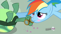 Size: 1440x809 | Tagged: safe, screencap, character:rainbow dash, character:tank, episode:just for sidekicks, g4, my little pony: friendship is magic, blushing, duo, embarrassed, goggles, heart, hub logo, love, scrunchy face, tsunderainbow, tsundere