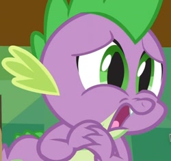 Size: 918x867 | Tagged: safe, screencap, character:spike, episode:just for sidekicks, g4, my little pony: friendship is magic