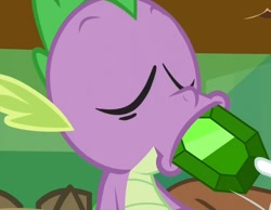Size: 1116x866 | Tagged: safe, screencap, character:spike, episode:just for sidekicks, g4, my little pony: friendship is magic
