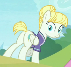 Size: 321x303 | Tagged: safe, screencap, character:summer breeze, species:pegasus, species:pony, episode:2-4-6 greaaat, butt, cropped, female, friendship student, plot, solo
