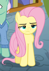 Size: 498x723 | Tagged: safe, screencap, character:fluttershy, character:gentle breeze, species:pegasus, species:pony, episode:flutter brutter, g4, my little pony: friendship is magic, cropped, female, fluttershy is not amused, male, mare, narrowed eyes, offscreen character, solo focus, stallion, unamused