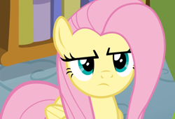 Size: 1382x937 | Tagged: safe, screencap, character:fluttershy, species:pegasus, species:pony, episode:flutter brutter, g4, my little pony: friendship is magic, cropped, female, fluttershy is not amused, mare, solo, unamused