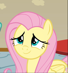 Size: 882x939 | Tagged: safe, screencap, character:fluttershy, species:pegasus, species:pony, episode:flutter brutter, g4, my little pony: friendship is magic, cropped, cute, female, mare, shyabetes, smiling, solo