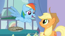 Size: 1593x871 | Tagged: safe, screencap, character:applejack, character:rainbow dash, species:earth pony, species:pegasus, species:pony, episode:spike at your service, g4, my little pony: friendship is magic, female, mare, youtube caption, youtube link
