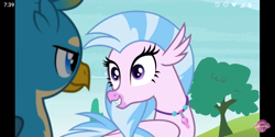 Size: 1440x720 | Tagged: safe, screencap, character:gallus, character:silverstream, species:griffon, species:hippogriff, episode:school daze, g4, my little pony: friendship is magic, looking at each other, outdoors, watermark