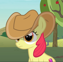 Size: 723x716 | Tagged: safe, screencap, character:apple bloom, species:earth pony, species:pony, episode:honest apple, g4, my little pony: friendship is magic, clothing, cowboy hat, cropped, female, filly, hat, shade, solo, stetson