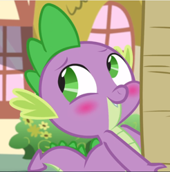 Size: 926x941 | Tagged: safe, screencap, character:spike, species:dragon, episode:honest apple, g4, my little pony: friendship is magic, bashful, blushing, carrying, cropped, cute, fangs, male, solo, spikabetes