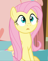 Size: 740x938 | Tagged: safe, screencap, character:fluttershy, species:pegasus, species:pony, episode:discordant harmony, g4, my little pony: friendship is magic, cropped, cute, female, mare, shyabetes, sitting, solo