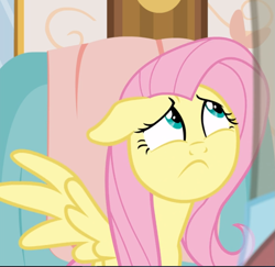 Size: 883x859 | Tagged: safe, screencap, character:fluttershy, species:pegasus, species:pony, episode:discordant harmony, g4, my little pony: friendship is magic, cropped, female, floppy ears, mare, sitting, solo, spread wings, wings