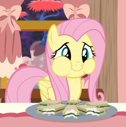 Size: 877x884 | Tagged: safe, screencap, character:fluttershy, species:pegasus, species:pony, episode:discordant harmony, g4, my little pony: friendship is magic, cheek bulge, cropped, cute, female, food, full mouth, mare, plate, puffy cheeks, sandwich, shyabetes, smiling, solo
