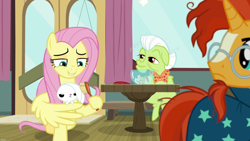 Size: 1920x1080 | Tagged: safe, screencap, character:angel bunny, character:fluttershy, character:granny smith, character:sunburst, episode:a trivial pursuit, g4, my little pony: friendship is magic, brush, brushing, quill, wing hands, wings