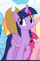 Size: 538x817 | Tagged: safe, screencap, character:applejack, character:fluttershy, character:pinkie pie, character:rainbow dash, character:twilight sparkle, character:twilight sparkle (alicorn), species:alicorn, species:earth pony, species:pegasus, species:pony, episode:fame and misfortune, g4, my little pony: friendship is magic, cropped, cute, female, mare, raised hoof, smiling, solo focus, twiabetes, we're not flawless