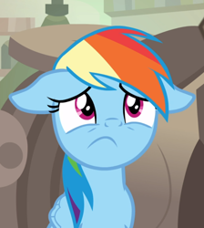 Size: 840x937 | Tagged: safe, screencap, character:rainbow dash, species:pegasus, species:pony, episode:daring done, cropped, fe, female, floppy ears, mare, scared, solo