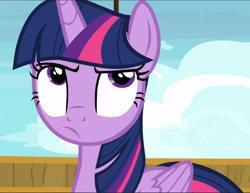 Size: 1217x940 | Tagged: safe, screencap, character:twilight sparkle, character:twilight sparkle (alicorn), species:alicorn, species:pony, episode:once upon a zeppelin, g4, my little pony: friendship is magic, cropped, solo, twilight is not amused, unamused
