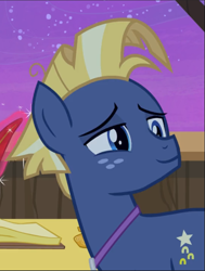 Size: 711x940 | Tagged: safe, screencap, character:star tracker, episode:once upon a zeppelin, g4, my little pony: friendship is magic, cropped, smiling, smug, solo