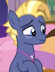 Size: 721x938 | Tagged: safe, screencap, character:star tracker, episode:once upon a zeppelin, g4, my little pony: friendship is magic, cropped, cute, jewelry, lidded eyes, necklace, smiling, solo