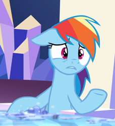 Size: 817x894 | Tagged: safe, screencap, character:rainbow dash, species:pegasus, species:pony, episode:school daze, g4, my little pony: friendship is magic, cropped, cute, cutie map, dashabetes, female, floppy ears, friendship throne, mare, nervous, raised hoof, sitting, solo
