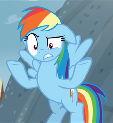 Size: 866x941 | Tagged: safe, screencap, character:rainbow dash, species:pegasus, species:pony, episode:school daze, g4, my little pony: friendship is magic, cropped, cutie mark, displeased, female, floppy ears, flying, griffonstone, gritted teeth, mare, raised eyebrow, shocked, shrunken pupils, solo, spread wings, wings